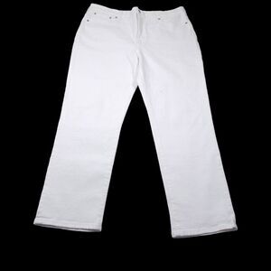 READ Madewell Perfect Vintage Jean Tile White High Rise Tapered Stretch Size 32